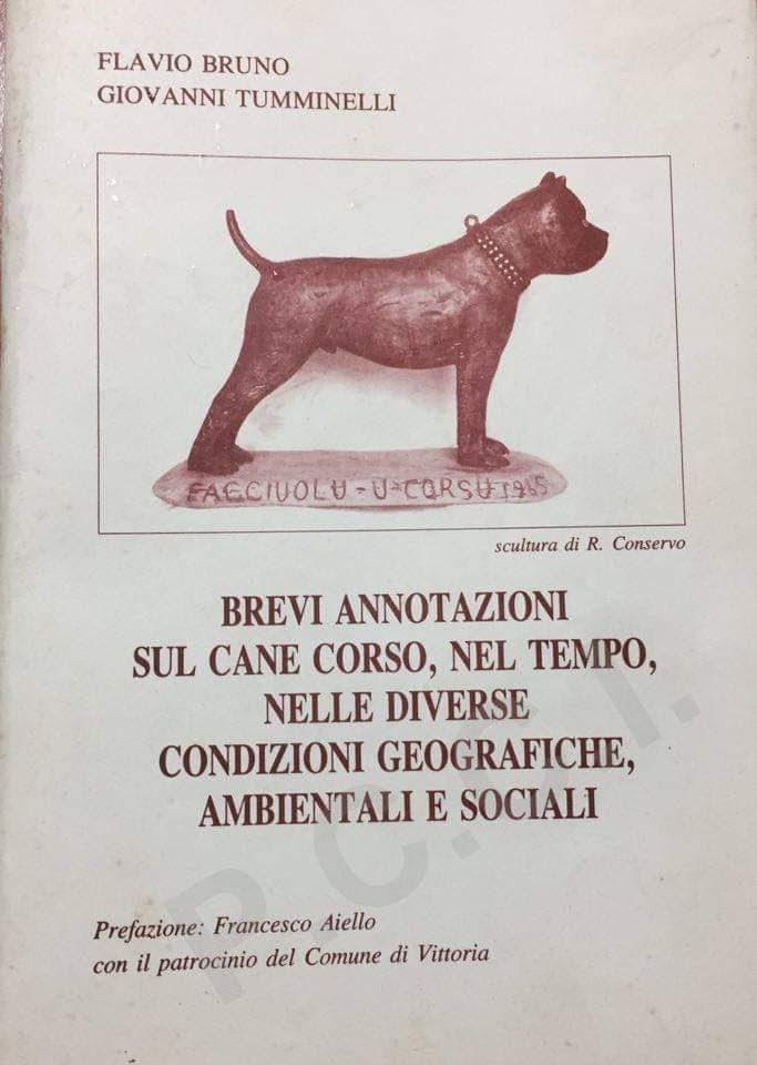 337395646 126071390431070 2118368231942039800 n